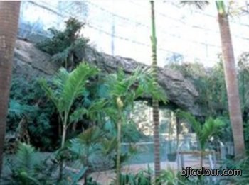 北京香山植物园假山