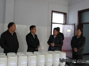 原新密市市委副书记、市长张红伟莅临公司检查指导工作